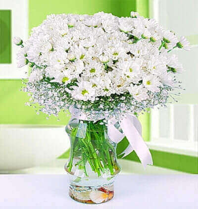 beyaz güller ve gerberalar Çiçeği & Ürünü Beyaz papatyalar 