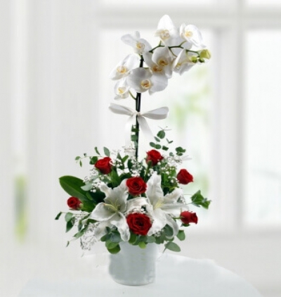 ayıcıklı sepette lilyum ve gerberalar Çiçeği & Ürünü Kırmızı-Beyaz İhtişam 