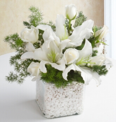 sevimli ayıcık ve kır Çiçekleri Çiçeği & Ürünü Beyaz Zerafet 
