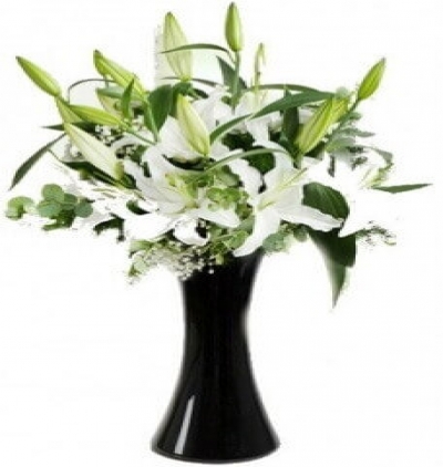 beyaz güller Çiçeği & Ürünü Beyaz Asalet 