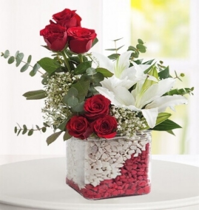 vazoda 50 kırmızı gül Çiçeği & Ürünü Kırmızı Beyaz 