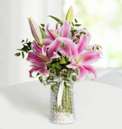 cam vazoda 7 beyaz gül zerafeti Çiçeği & Ürünü Pembe Rüya 